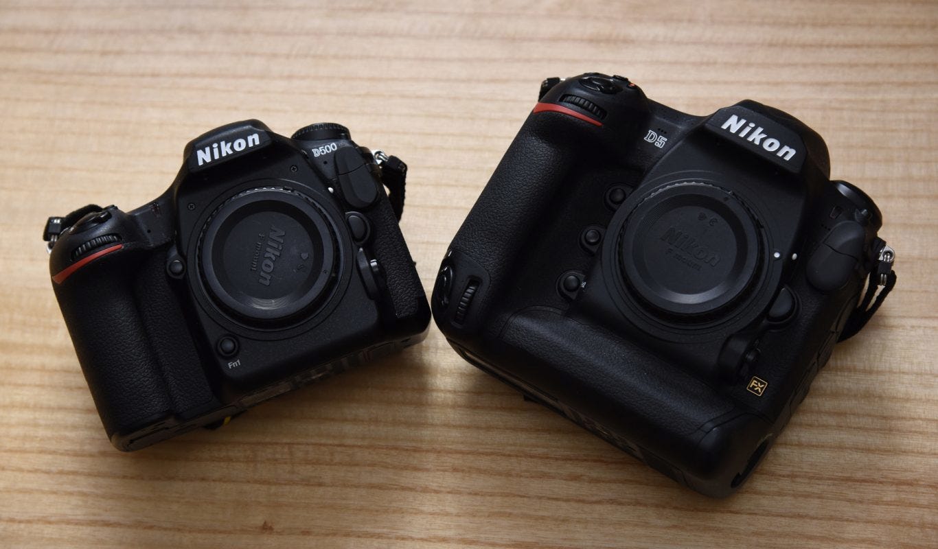 Nikon D5 Vs Nikon D500